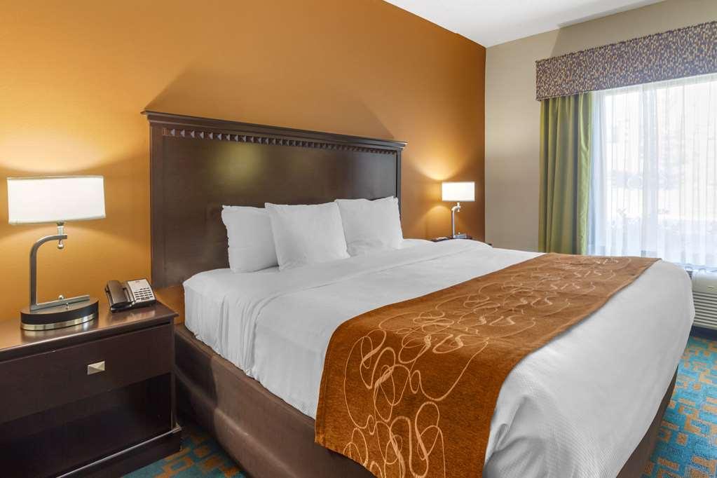 Comfort Suites Knoxville West - Farragut Rum bild